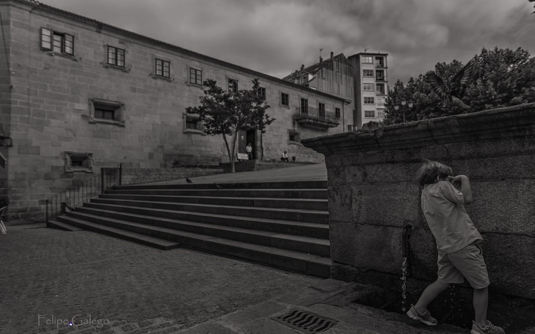 Proyecto Homenaje al escritor Ramiro Fonte